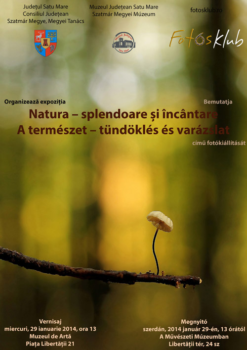 Expoziţie de fotografii la Muzeul de Artă Satu Mare