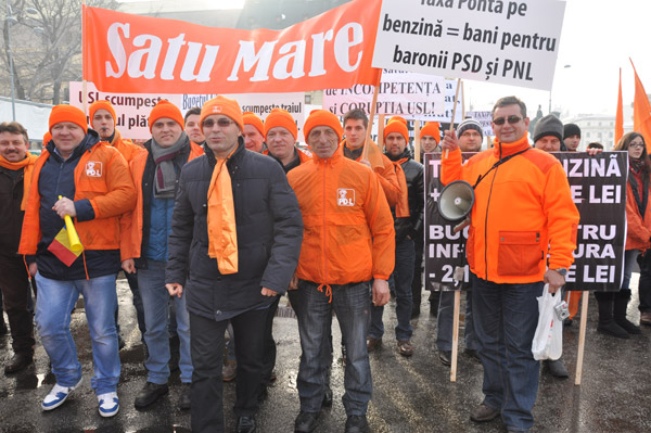 Democrat-liberalii sătmăreni au participat la mitingul PDL din capitală