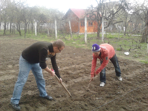 Terapie prin horticultură la Satu Mare