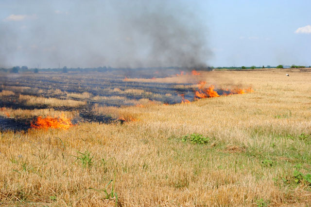 Incendiu pe o holdă de grâu