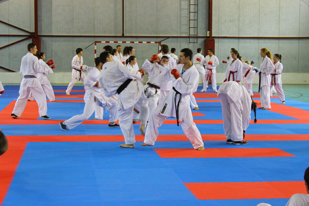 Karateka de la CSM Satu Mare participă la Campionatul Mondial pentru copii, cadeți și junior din Polonia