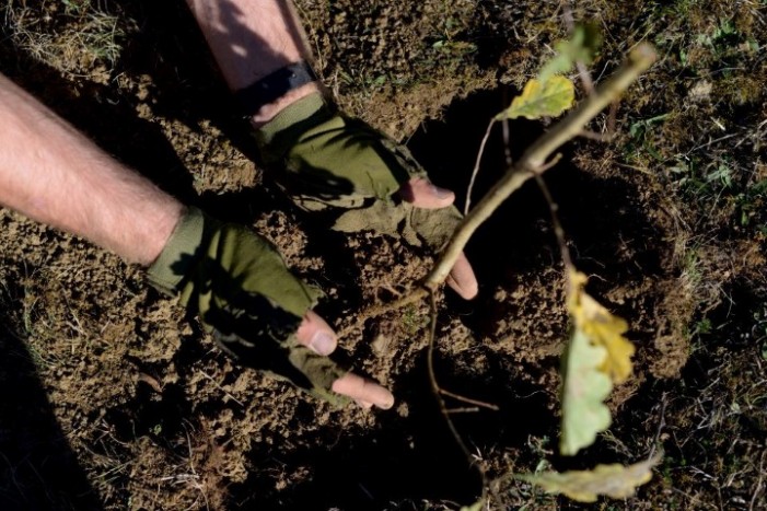 Campania de plantare de puieți, continuă și în acest an