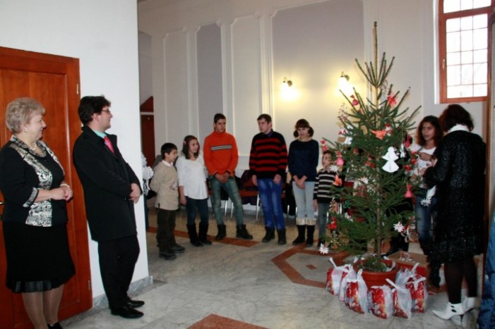Bradul ECO, împodobit la „Casa Verde” din Satu Mare