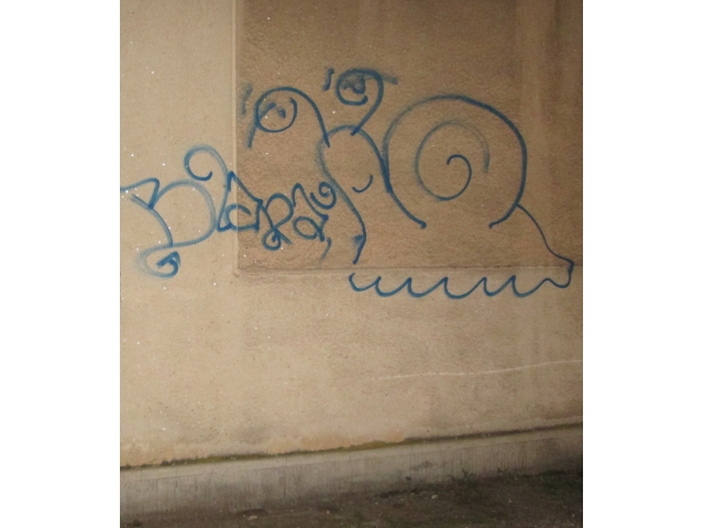 Tânăr din Satu Mare amendat pentru graffiti