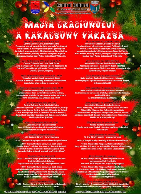 Vezi programul Festivalului „Magia Crăciunului” din Carei
