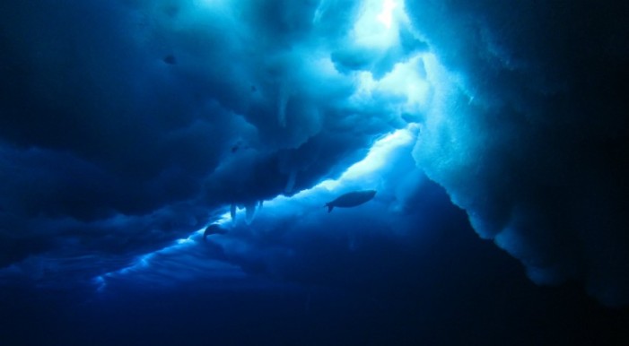 O lume dispărută, descoperită sub gheața Antarcticii