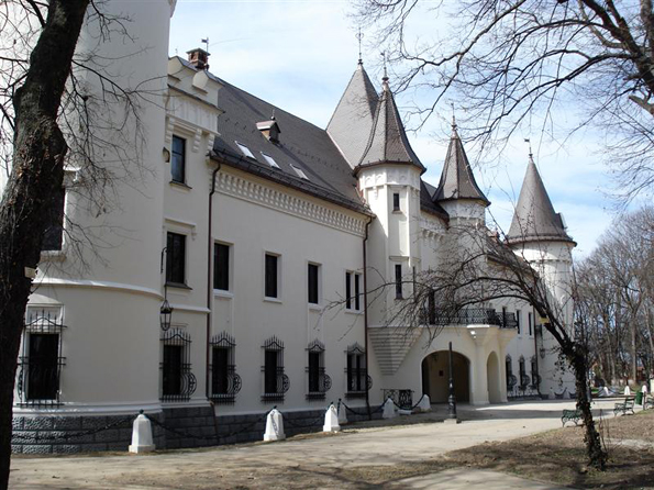 Concert cameral la Castelul Karolyi din Carei