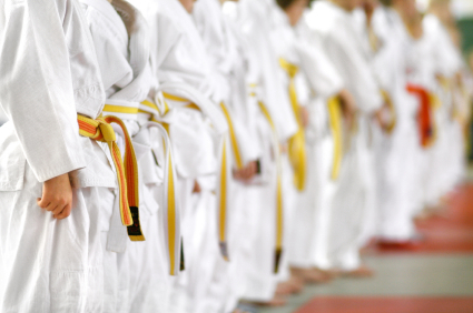18 karateka de la CSM Satu Mare, la Cupa Internațională Banzai din Arad