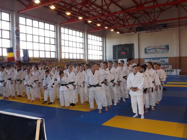 Cei mai buni judoka din țară, se întrec la Satu Mare