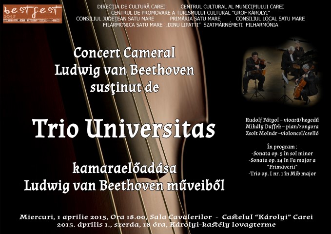 Concert cameral găzduit de Castelul Karolyi