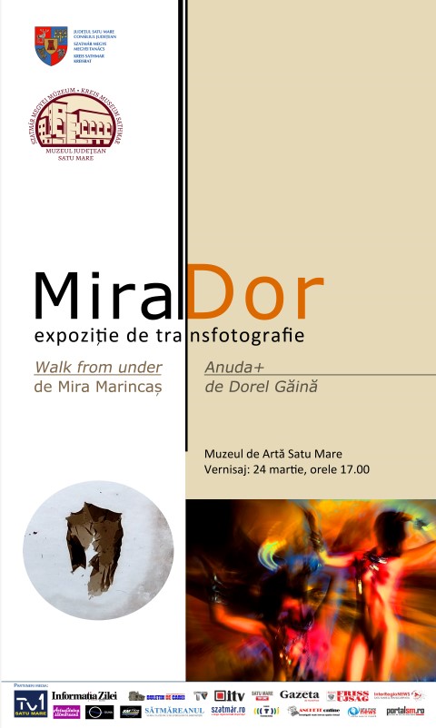 Artistul clujean Dorel Găină, expune la Muzeul de Artă din Satu Mare