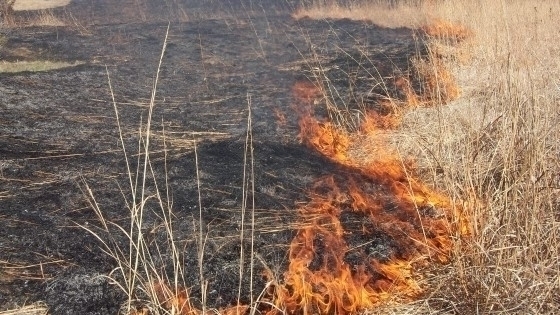 10 hectare de vegetație uscată distruse de incendii
