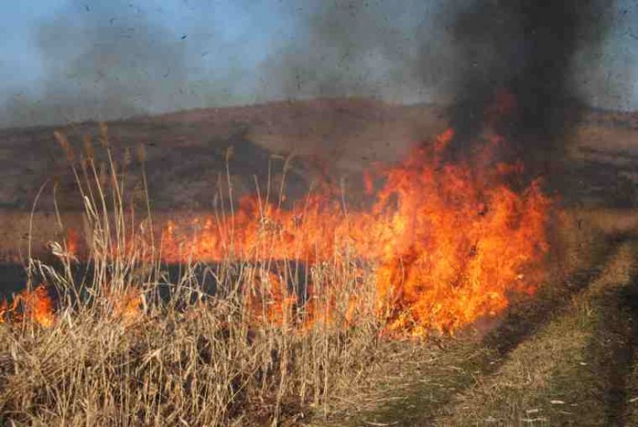 Incendiu de vegetație uscată la Negrești-Oaș