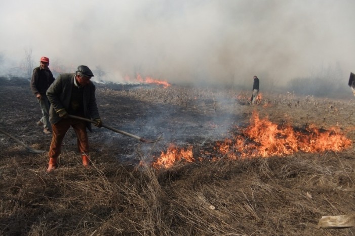 Incendiu la Foieni