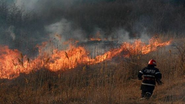 50 de hectare de vegetație uscată și litieră distruse de flăcări