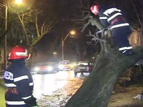 Vântul a făcut ravagii în județul Satu Mare