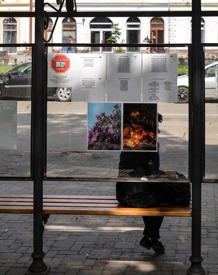 Minutul de cultură continuă în stațiile de autobuz din Carei