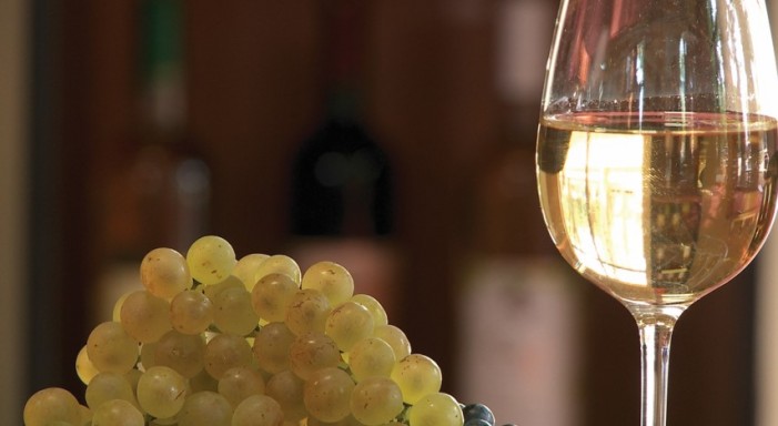 Eveniment cu amprente sătmărene la Hotelul „Crowne Plaza” din București
