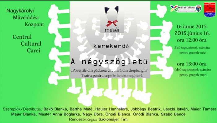 Spectacol de teatru pentru copii la Carei