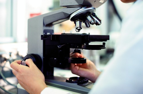 România a cucerit prima medalie de aur la Olimpiada Internaţională de Biologie