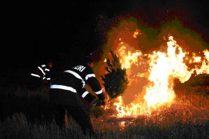 Vetiș: Șase hectare de vegetație uscată, mistuite de flăcări