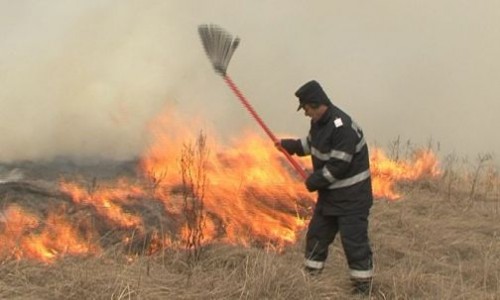 10 hectare de vegetație uscată, mistuite de flăcări. Incendiul, provocat intenționat
