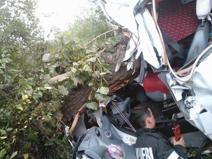 Un copac s-a prăbuşit peste o maşină. Şoferul a scăpat cu leziuni uşoare (Foto)