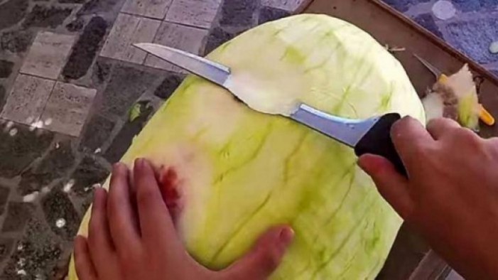 Vezi cum devine un pepene, un obiect de artă (Video) Vezi cum devine un pepene, un obiect de artă (Video)