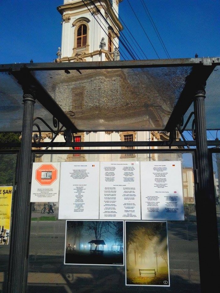Minutul de cultură continuă și în luna octombrie