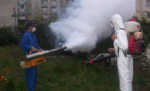 Acțiune de deratizare pentru combaterea rozătoarelor în zona blocurilor de locuințe