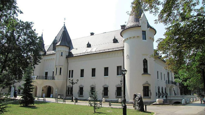 Concert cameral la Castelul din Carei