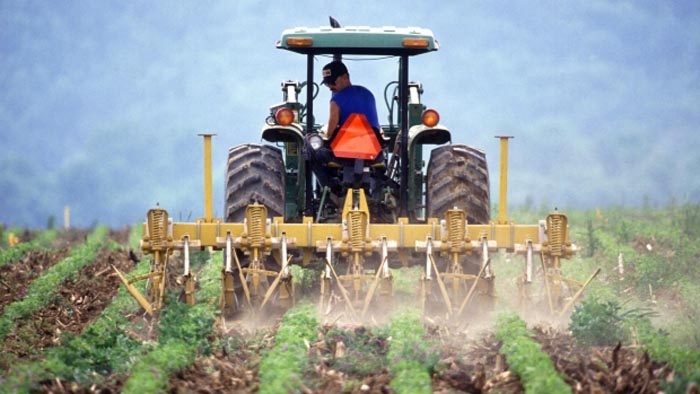 Începe plata subvenţiilor din sectorul vegetal aferente anului 2015