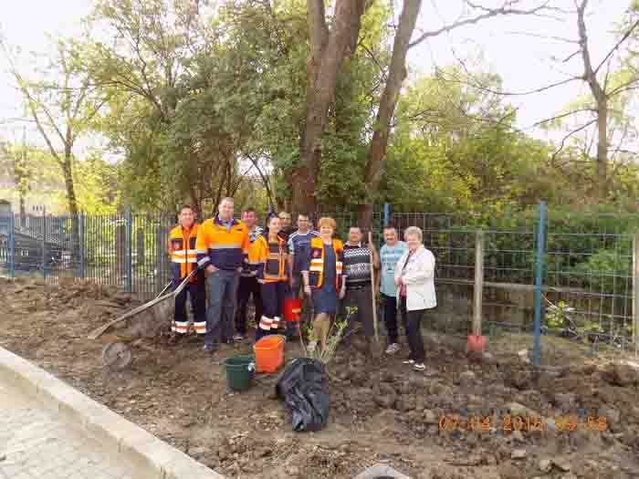 Angajații de la Ambulanță au plantat puieți de frasini (Foto)