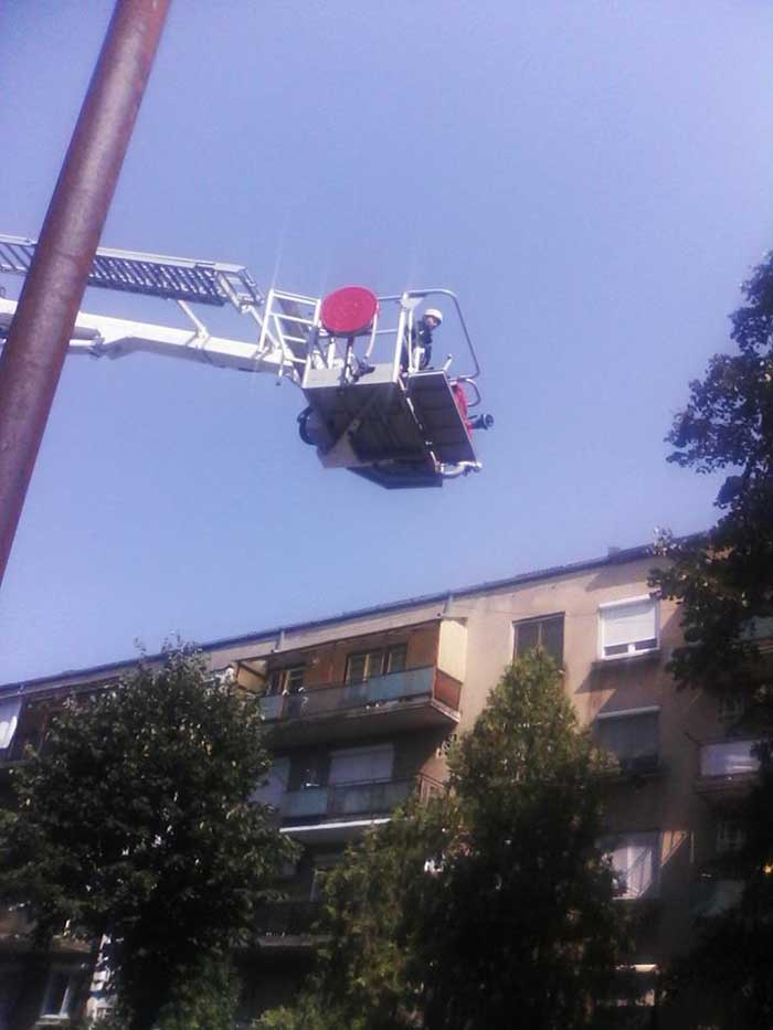 Operațiunea „Pisica” la Satu Mare