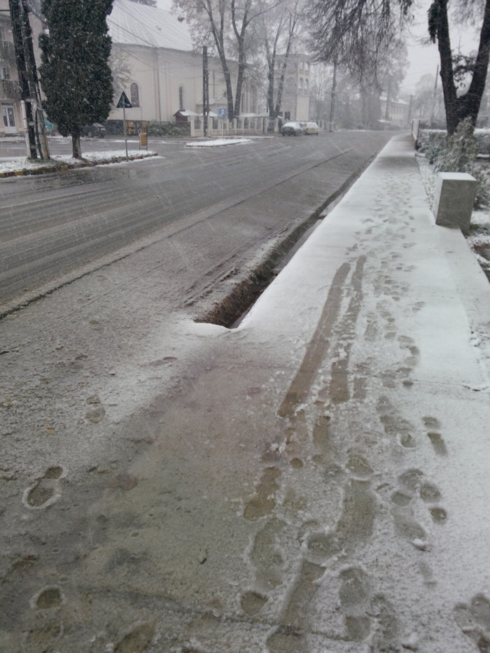 Prima ninsoare în județul Satu Mare