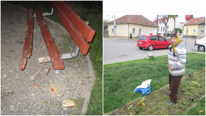 Bancă distrusă și flori smulse în parcurile din Satu Mare (Foto)