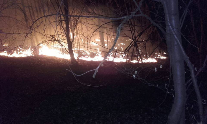 Zile de foc pentru pompierii negreșteni (Foto&video)