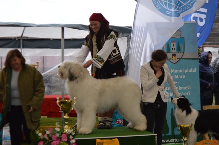 „Parada costumelor populare” la Dog Show Satu Mare (Foto)