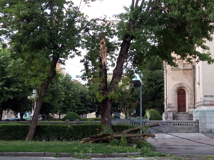 Furtuna a făcut ravagii în municipiul Satu Mare (Foto)