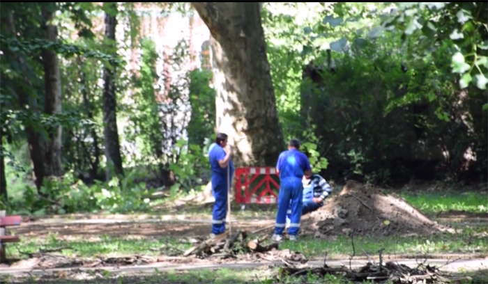 Când se va redeschide Grădina Romei. Ce spune Maskulik Csaba