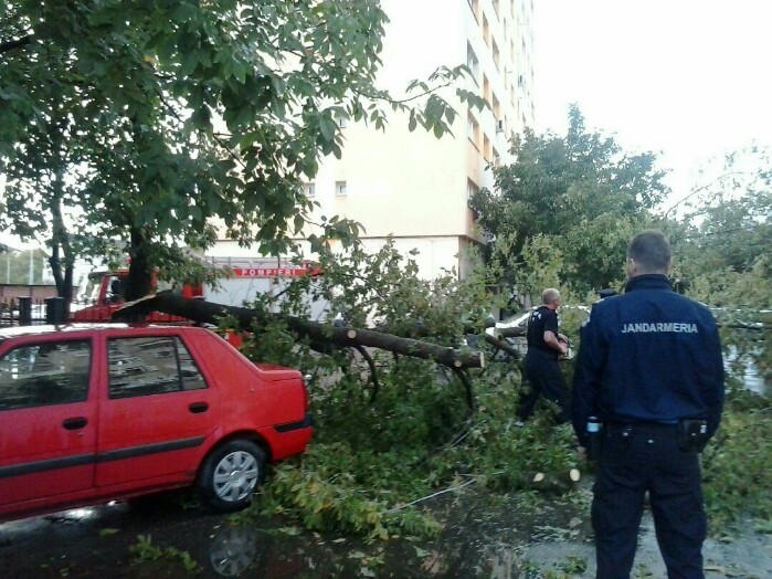 Furtuna a făcut ravagii în municipiu ! Copaci rupți și o mașină avariată (foto)