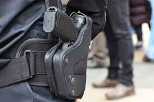 Jandarmii pot folosi arme cu tranchilizante împotriva animalelor