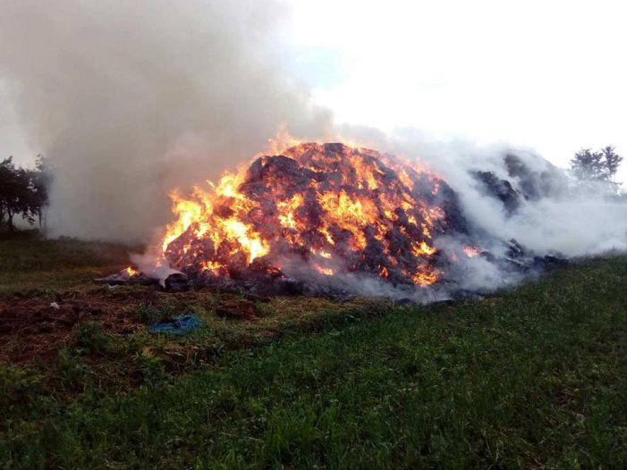 Incendiu in Dara. Ard circa 1.000 de baloti de fan (Foto)