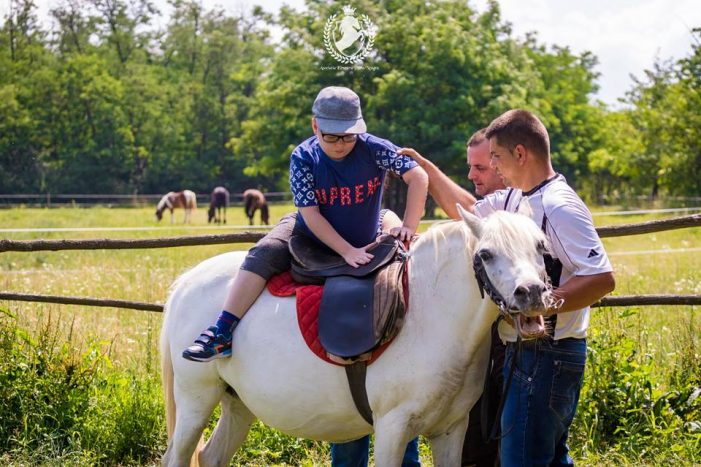 Caii, terapie pentru copiii cu autism (Foto)