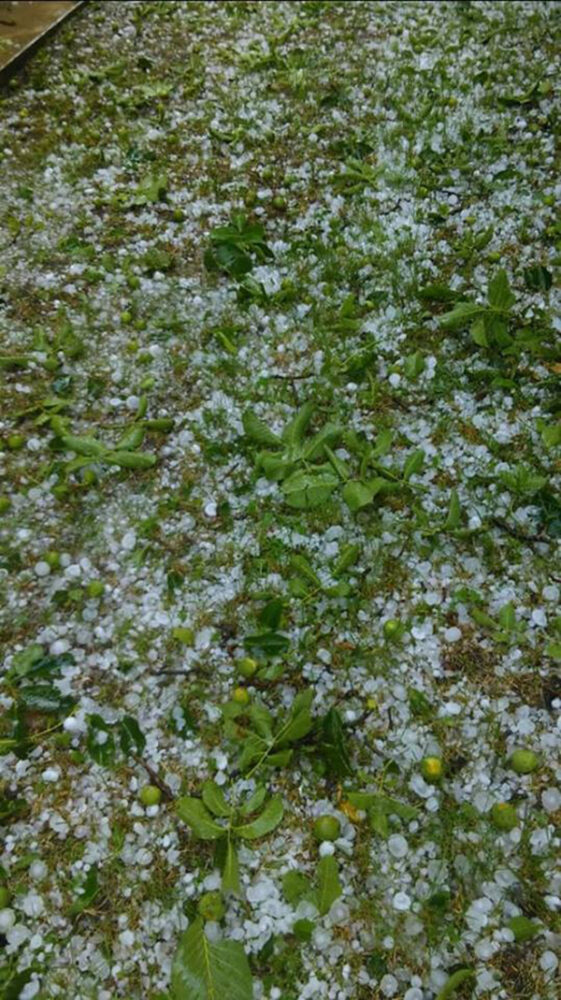 Gheata a facut prapad in doua localitati din judet (Foto)