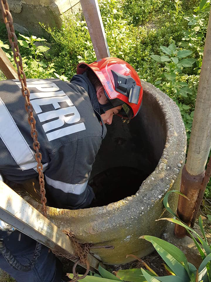 Catel salvat de la inec. A cazut intr-o fantana (Foto)