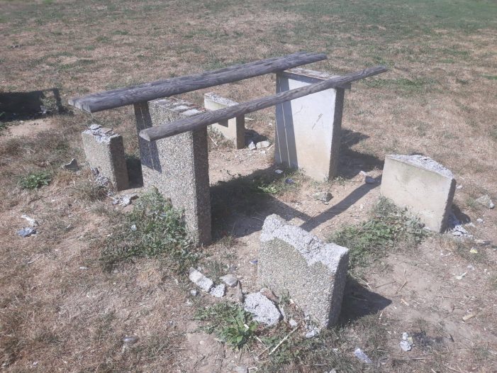 Zona de picnic din municipiu, distrusa (Foto)