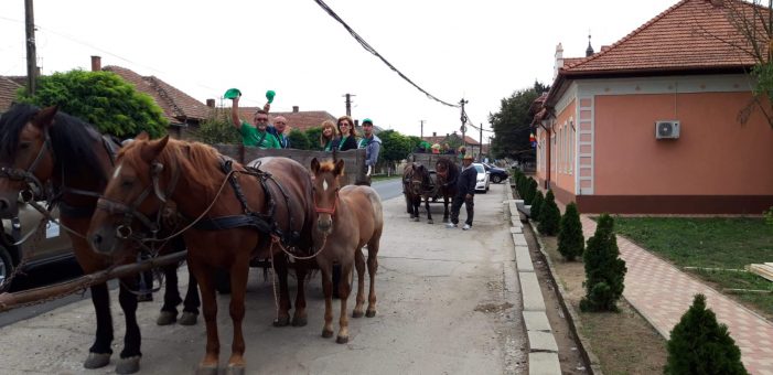 Proiect de mediu, derulat la Satu Mare (Foto)