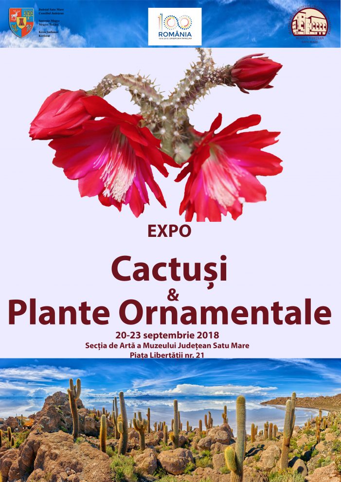Cactusi, plante ornamentale si tombola la Muzeul de Arta