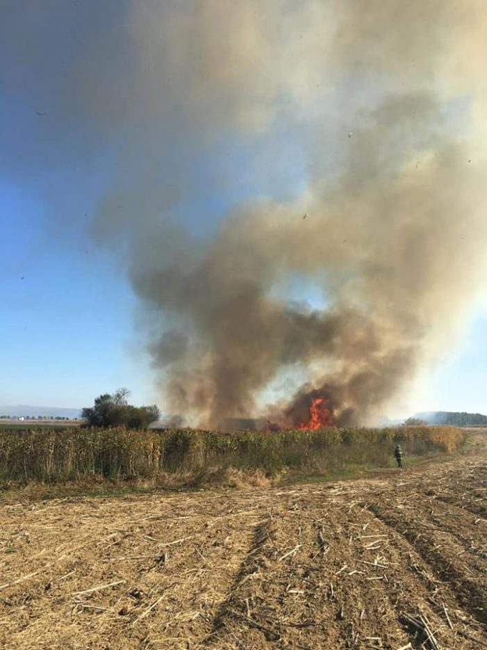 Incendiu in Odoreu. A dat foc vegetatiei uscate (Foto)